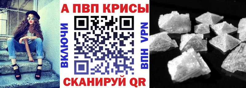 A PVP СК Новокузнецк