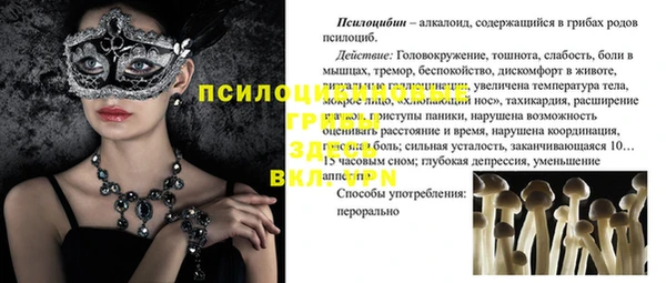 Альфа ПВП Алексеевка