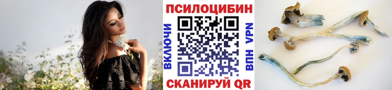 наркошоп  Новокузнецк  Псилоцибиновые грибы MAGIC MUSHROOMS 