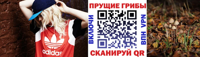 Галлюциногенные грибы ЛСД Новокузнецк