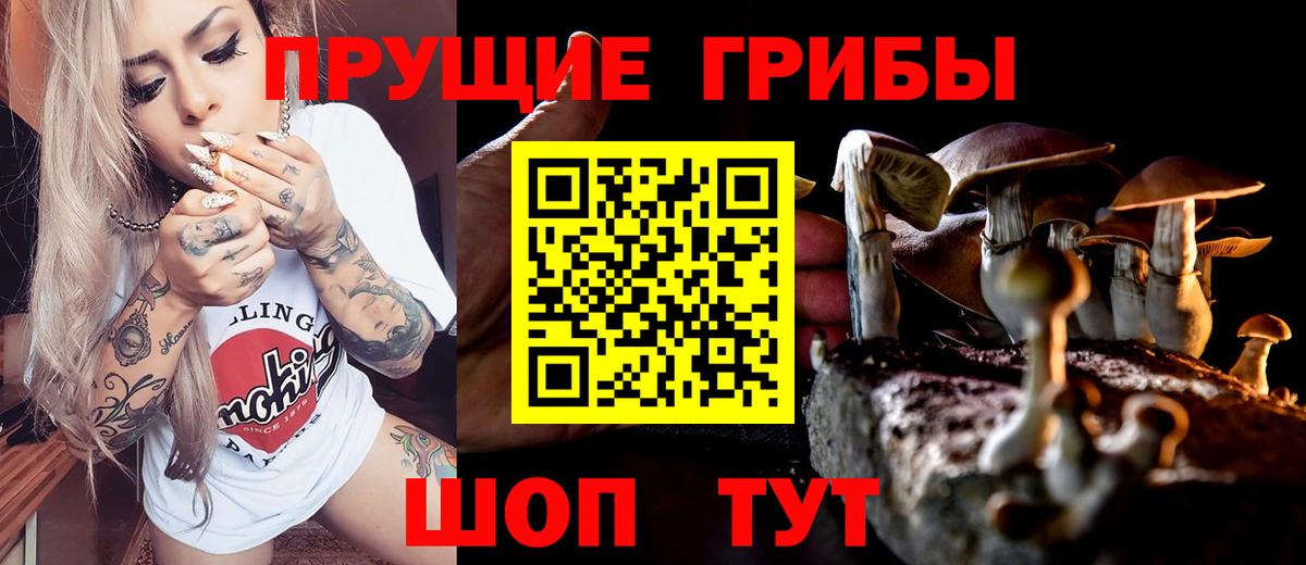 закладки  Вход с VPN  Новокузнецк  Псилоцибиновые грибы MAGIC MUSHROOMS  Галлюциногенные грибы мицелий 