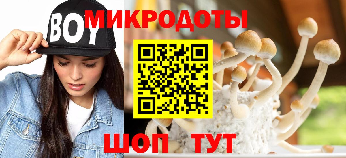 Псилоцибиновые грибы мухоморы Новокузнецк