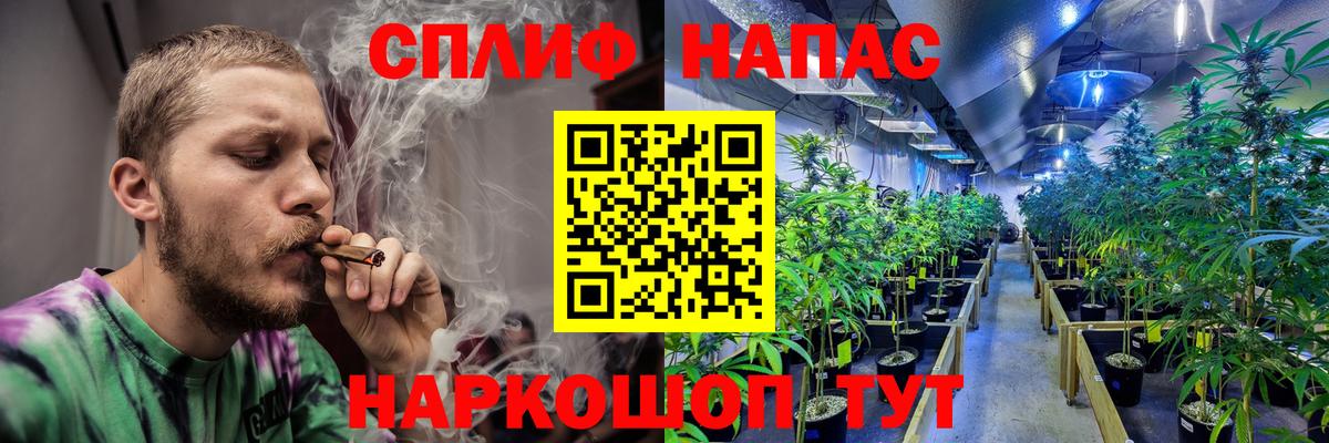 Каннабис семена  Вход с VPN  Марихуана тримм  Новокузнецк  Канабис AK-47 